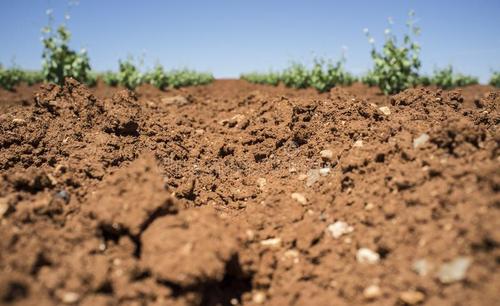 土壤水分測(cè)定儀